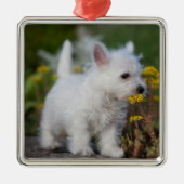 Niedliche Kleintiere | West Highland White Terrier Ornament Aus Metall (Vorne)