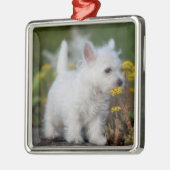 Niedliche Kleintiere | West Highland White Terrier Ornament Aus Metall (Links)