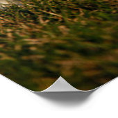 Niedliche Kleintiere | West Highland White Terrier Poster (Ecke)