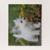 Niedliche Kleintiere | West Highland White Terrier Puzzle (Vertikal)