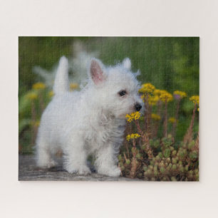 Niedliche Kleintiere West Highland White Terrier Puzzle