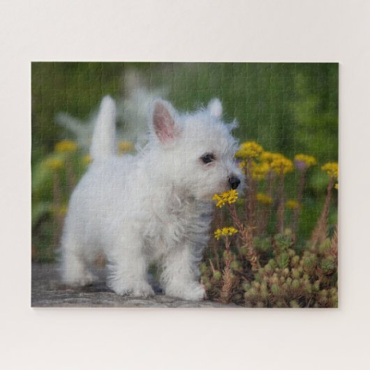 Niedliche Kleintiere | West Highland White Terrier Puzzle (Horizontal)