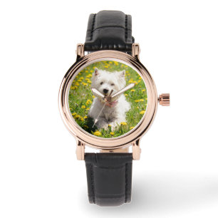 Niedliche Kleintiere   Westie Hund in Lüstern Armbanduhr