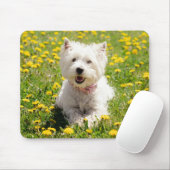 Niedliche Kleintiere | Westie Hund in Lüstern Mousepad (Mit Mouse)