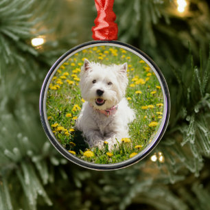 Niedliche Kleintiere   Westie Hund in Lüstern Ornament Aus Metall