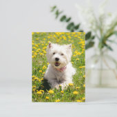 Niedliche Kleintiere | Westie Hund in Lüstern Postkarte (Stehend Vorderseite)