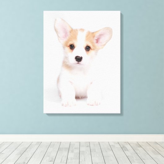 Niedliche Kleintiere | White Corgi Puppy Leinwanddruck (Insitu (Holzboden))