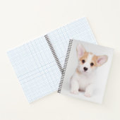 Niedliche Kleintiere | White Corgi Puppy Notizblock (Innenseite)
