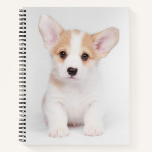 Niedliche Kleintiere White Corgi Puppy Notizblock