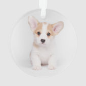 Niedliche Kleintiere | White Corgi Puppy Ornament (Rückseite)