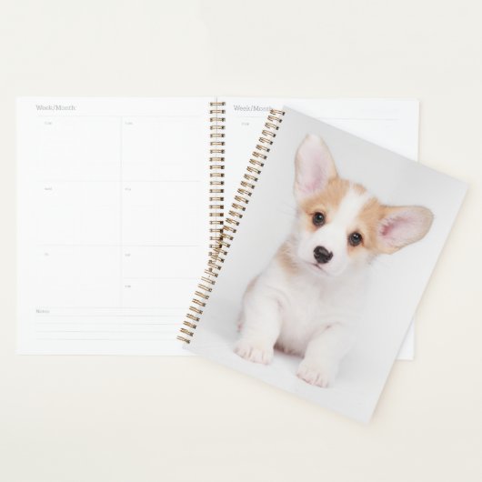 Niedliche Kleintiere | White Corgi Puppy Planer (Anzeige)