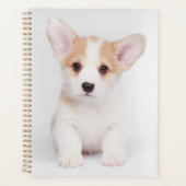 Niedliche Kleintiere | White Corgi Puppy Planer (Vorderseite)