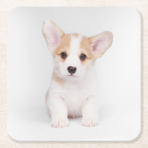 Niedliche Kleintiere   White Corgi Puppy Rechteckiger Pappuntersetzer