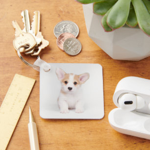 Niedliche Kleintiere White Corgi Puppy Schlüsselanhänger