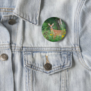 Niedliche Kleintiere White Tails Deer in Daisies Button