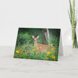 Niedliche Kleintiere White Tails Deer in Daisies Karte