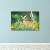 Niedliche Kleintiere | White Tails Deer in Daisies Leinwanddruck (Insitu (Holzboden))