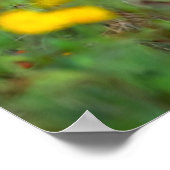 Niedliche Kleintiere | White Tails Deer in Daisies Poster (Ecke)