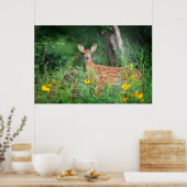 Niedliche Kleintiere | White Tails Deer in Daisies Poster (Küche)