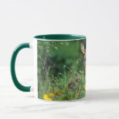Niedliche Kleintiere | White Tails Deer in Daisies Tasse (Links)