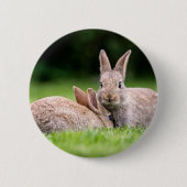 Niedliche Kleintiere | Wilde Bunny Rabbits Button (Vorderseite)