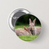 Niedliche Kleintiere | Wilde Bunny Rabbits Button (Vorne & Hinten)