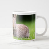 Niedliche Kleintiere | Wilde Bunny Rabbits Jumbo-Tasse (Rechts)