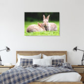 Niedliche Kleintiere | Wilde Bunny Rabbits Leinwanddruck (Insitu (Schlafzimmer))