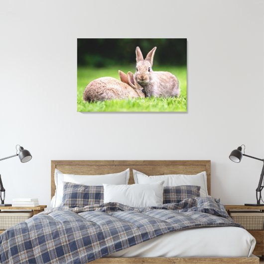 Niedliche Kleintiere | Wilde Bunny Rabbits Leinwanddruck (Insitu (Schlafzimmer))