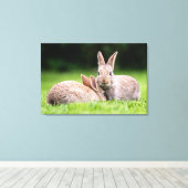 Niedliche Kleintiere | Wilde Bunny Rabbits Leinwanddruck (Insitu (Holzboden))