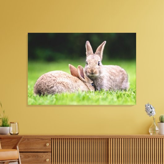 Niedliche Kleintiere | Wilde Bunny Rabbits Leinwanddruck (Insitu (Wohnzimmer))