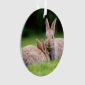 Niedliche Kleintiere | Wilde Bunny Rabbits Ornament (Vorderseite)