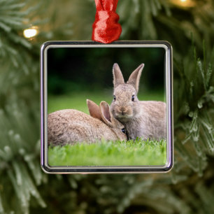 Niedliche Kleintiere Wilde Bunny Rabbits Ornament Aus Metall