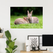 Niedliche Kleintiere | Wilde Bunny Rabbits Poster (Heimbüro)