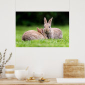 Niedliche Kleintiere | Wilde Bunny Rabbits Poster (Küche)