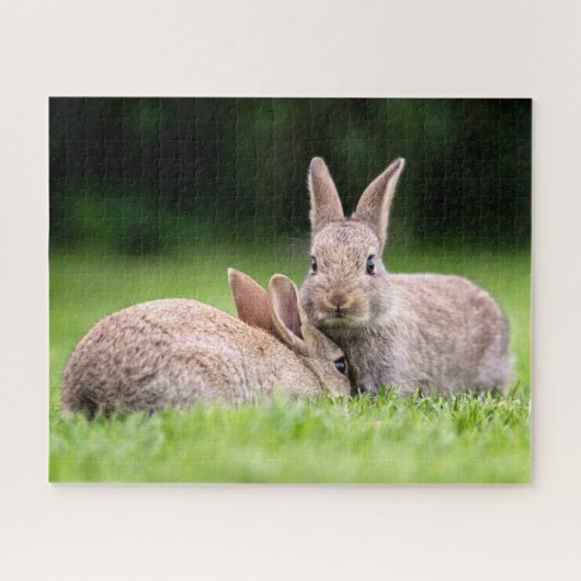 Niedliche Kleintiere | Wilde Bunny Rabbits Puzzle (Horizontal)