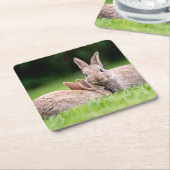 Niedliche Kleintiere | Wilde Bunny Rabbits Rechteckiger Pappuntersetzer (angewinkelt)