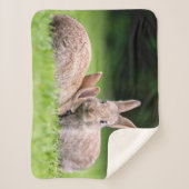Niedliche Kleintiere | Wilde Bunny Rabbits Sherpadecke (Vorderseite)