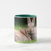 Niedliche Kleintiere | Wilde Bunny Rabbits Tasse (Zentrum)