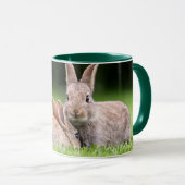 Niedliche Kleintiere | Wilde Bunny Rabbits Tasse (VorderseiteRechts)