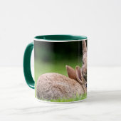 Niedliche Kleintiere | Wilde Bunny Rabbits Tasse (Vorderseite Links)