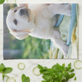 Niedliche Kleintiere | Yellow Labrador Retrievers Geschirrtuch (Gefaltet)