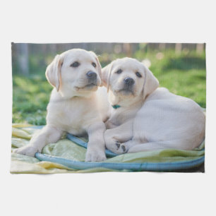 Niedliche Kleintiere   Yellow Labrador Retrievers Geschirrtuch