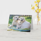 Niedliche Kleintiere | Yellow Labrador Retrievers Karte (Gelbe Blume)