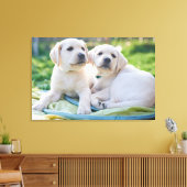 Niedliche Kleintiere | Yellow Labrador Retrievers Leinwanddruck (Insitu (Wohnzimmer))