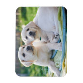 Niedliche Kleintiere | Yellow Labrador Retrievers Magnet (Vertikal)
