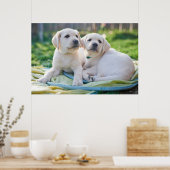 Niedliche Kleintiere | Yellow Labrador Retrievers Poster (Küche)