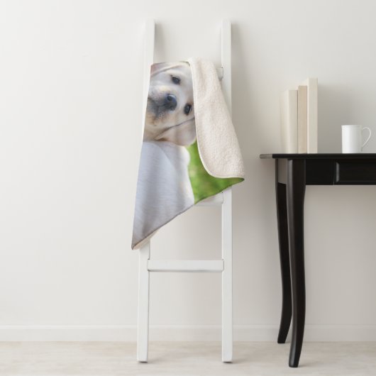 Niedliche Kleintiere | Yellow Labrador Retrievers Sherpadecke (Beispiel)