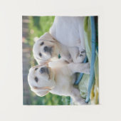 Niedliche Kleintiere | Yellow Labrador Retrievers Wandteppich (Vorderseite)