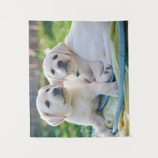 Niedliche Kleintiere | Yellow Labrador Retrievers Wandteppich (Vorderseite)